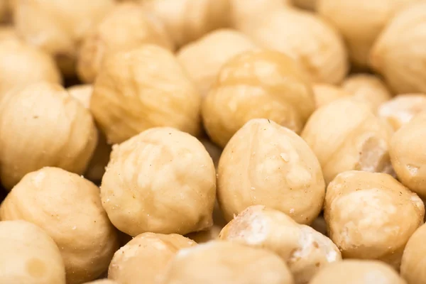 Fresh Hazelnuts — Stock Photo, Image