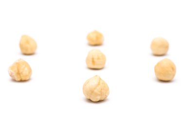 fındık meyve izole