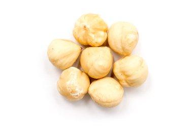 fındık meyve izole