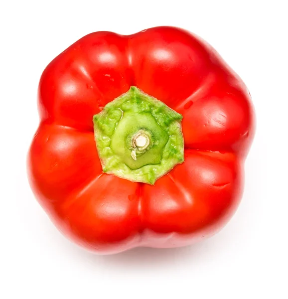 Capsicum rojo fresco aislado — Foto de Stock