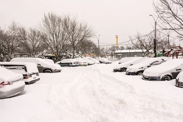 Coverd coches en invierno nieve — Foto de Stock