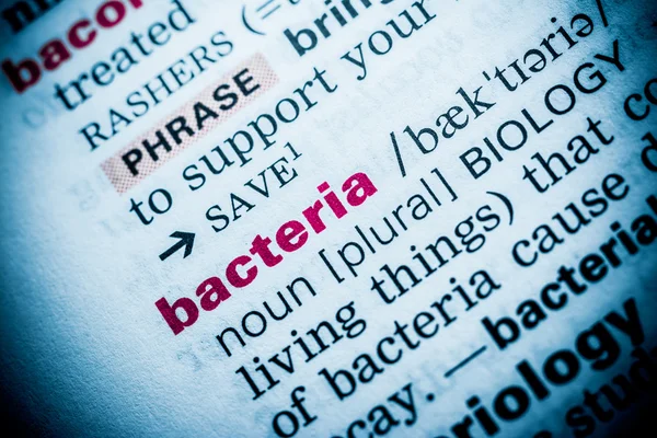 Definizione di parola dei batteri nel dizionario — Foto Stock