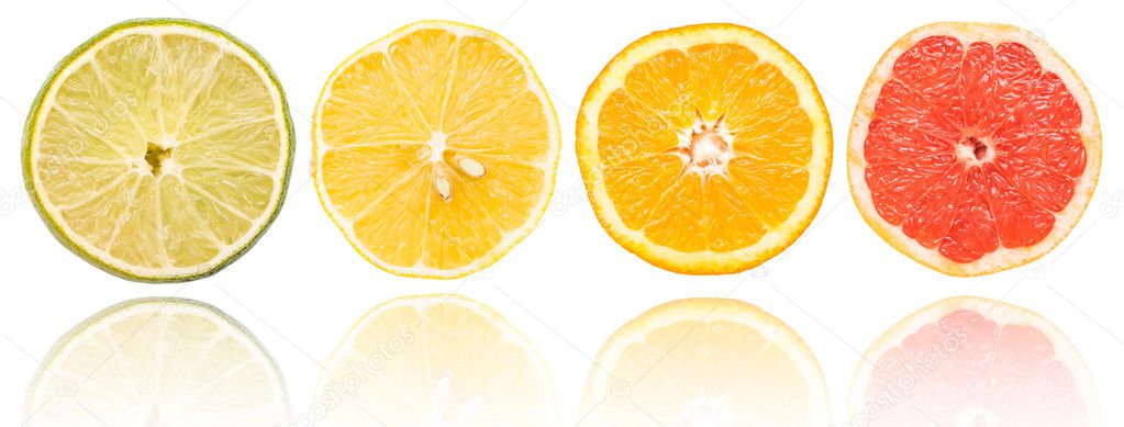 Citrus Fruits Slices Set