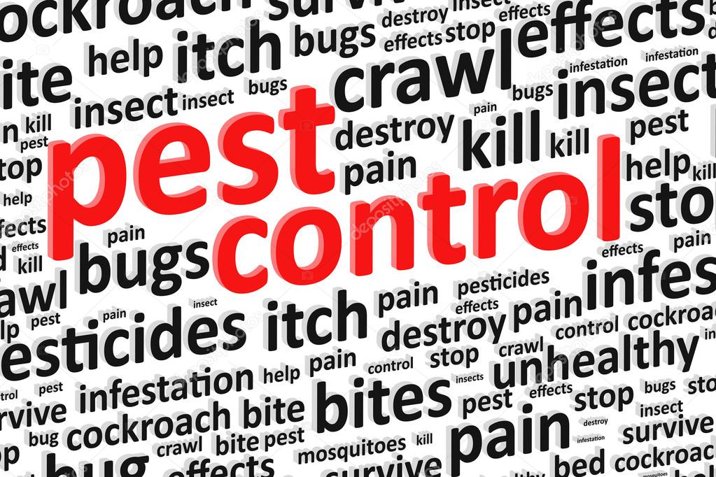 Pest Control For Bugs And Rodents