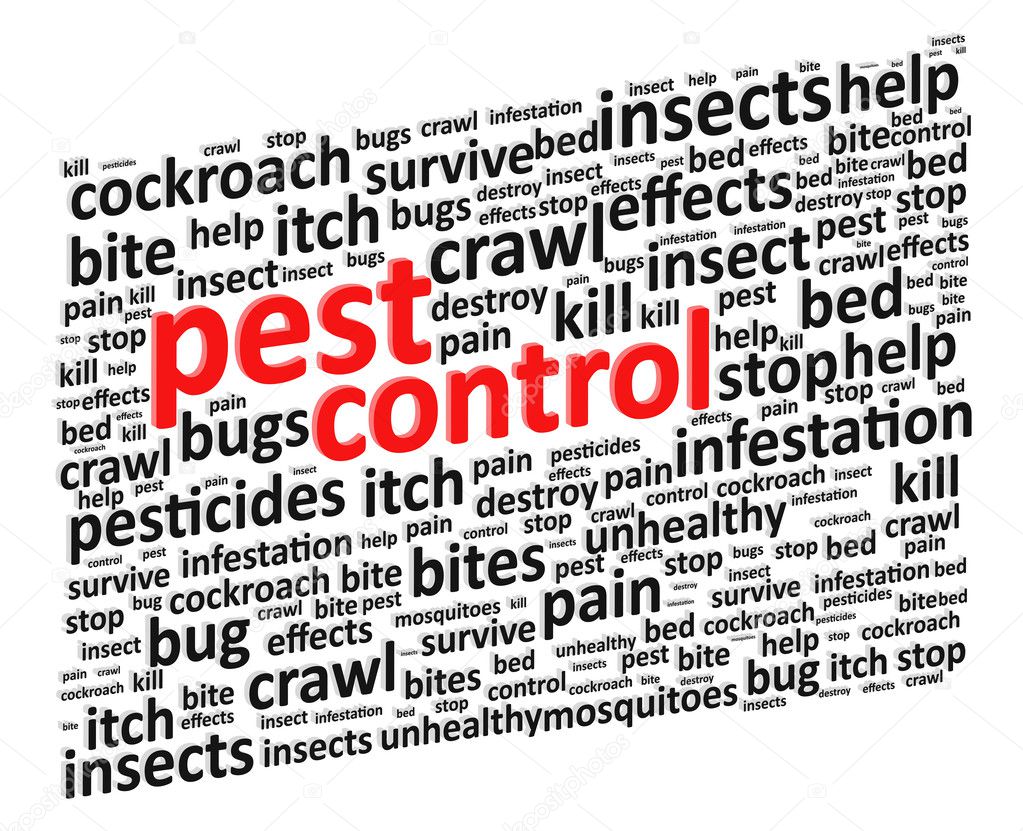 Pest Control For Bugs And Rodents