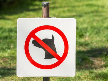 köpek çim alan üzerinde izin yok