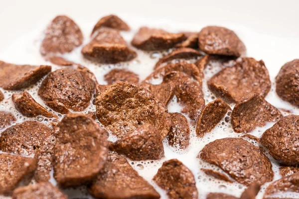 Flocos de milho de chocolate com leite — Fotografia de Stock