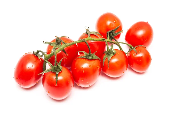 Verse natte rode tomaten — Stockfoto