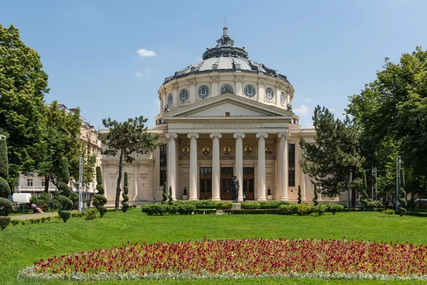 The Romanian Athenaeum — Stock Photo, Image