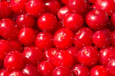 kiraz meyve pazarı içinde