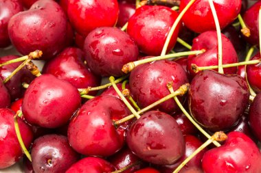 ıslak ve taze kırmızı kiraz