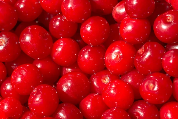 Färgglada Visning Körsbär Frukt Marknad — Stockfoto