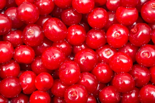 Farbenfrohe Kirschen Auf Dem Obstmarkt — Stockfoto