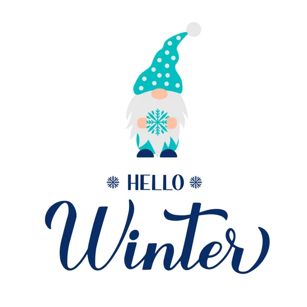 Γεια Σας Χειμώνα Καλλιγραφία Χέρι Γράμματα Χαριτωμένο Gnome Εμπνευσμένο Εποχιακό — Διανυσματικό Αρχείο