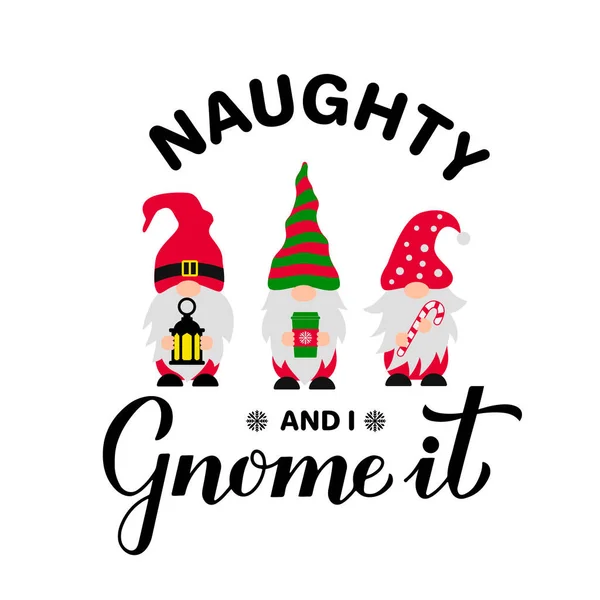 Αστείο Χριστουγεννιάτικο Απόσπασμα Άτακτος Και Εγώ Gnome Χαριτωμένα Ξωτικά Διακοπών — Διανυσματικό Αρχείο