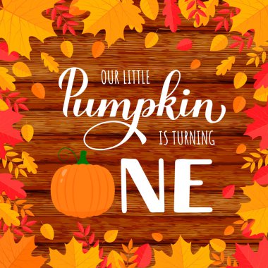 Bizim küçük balkabağımız, sonbahar ahşap arka planında bir el yazısı çeviriyor. Sonbahar bebeği ilk doğum günü süslemeleri. Poster, imza, davet vs. için vektör şablonu.