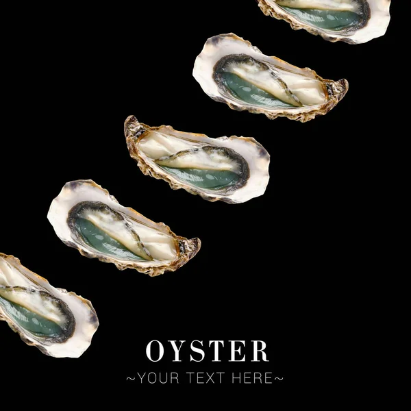 Geopende Oesters Patroon Met Tekstruimte Oester Geïsoleerd Zwarte Achtergrond Vierkante — Stockfoto