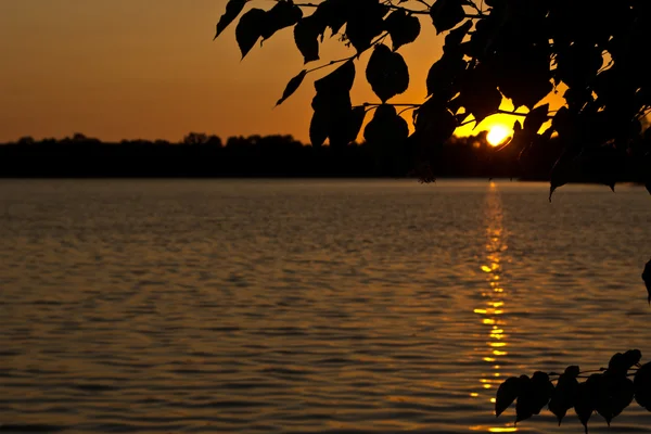 Sonnenuntergang auf dem See — Stockfoto