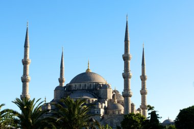 Cami istanbul