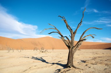 Sossusvlei