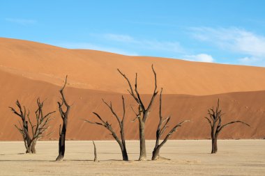 Sossusvlei