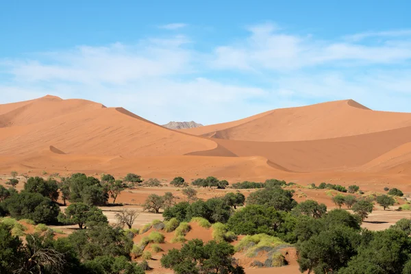 Sossusvlei