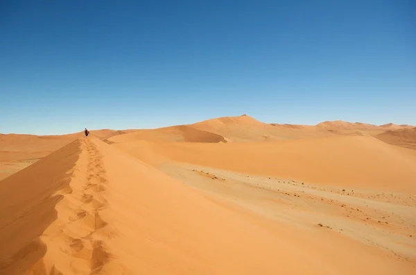 Promenade sur la dune — Photo
