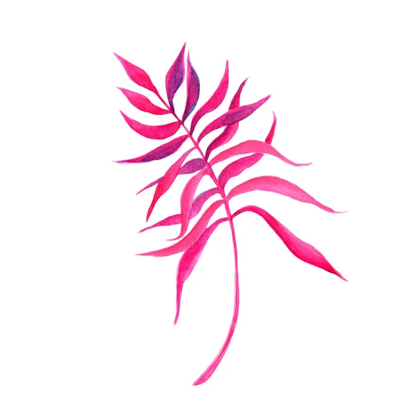 白を基調としたピンクの枝の水彩画 — ストック写真