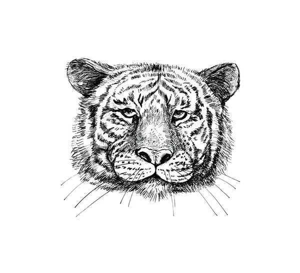 Schwarz Weißes Porträt Eines Tigers Mit Schwarzem Liner — Stockfoto