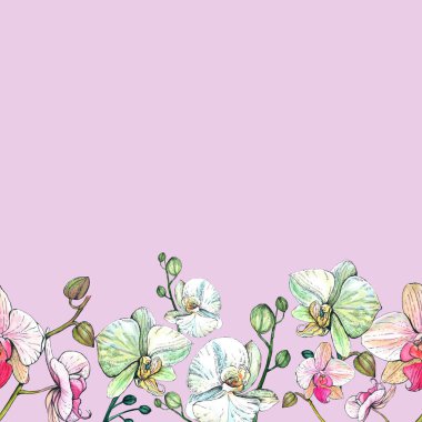 Pembe arka planda orkide kenarı. El çizimi suluboya çiçekler.