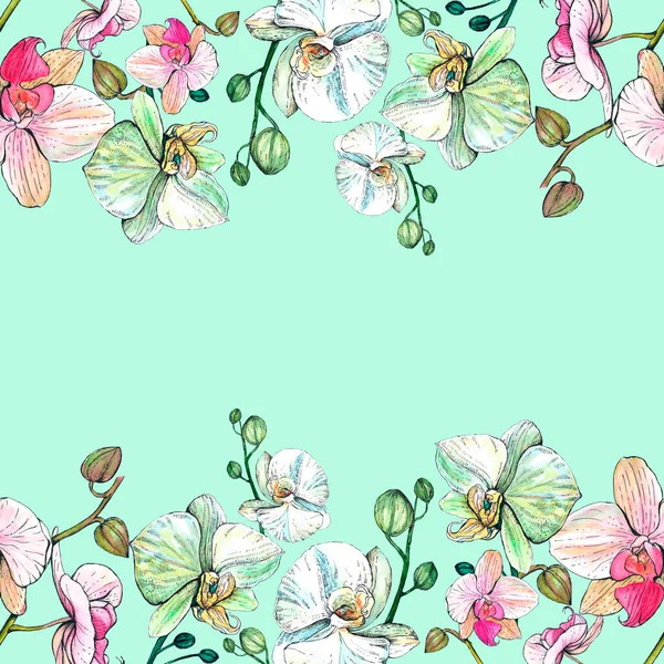 Doppelter Horizontaler Rand Aus Weißen Und Rosa Orchideen Aquarell Handzeichnung — Stockfoto