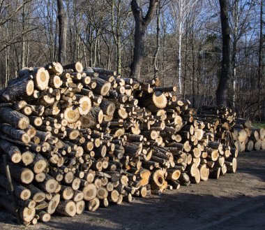 yığılmış yakacak odun