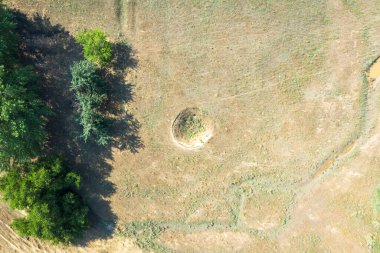 Arka planda ağaçların büyüdüğü bozkır manzarası