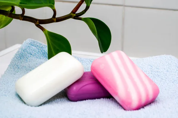 Pieces Soap Towel Bathroom Next Houseplant High Quality Photo — Stock Photo, Image