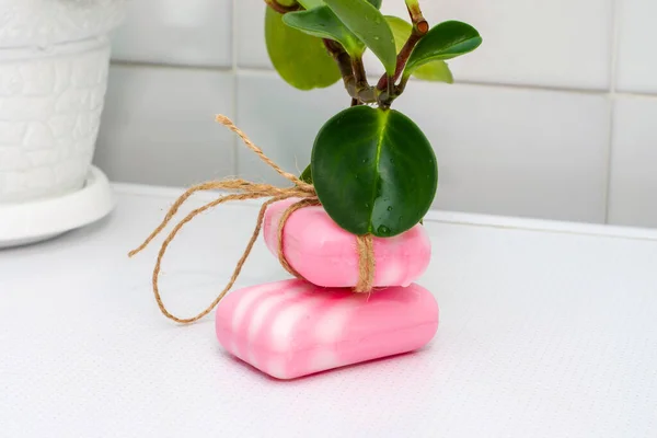 Two Pieces Soap Table Bathroom Houseplant One Piece Tied Rope — Stock Photo, Image