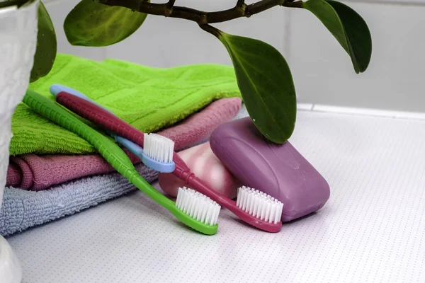 Bir yığın havlu diş fırçası ve tuvalet masasının üzerinde bir saksı. Yüksek kalite fotoğraf