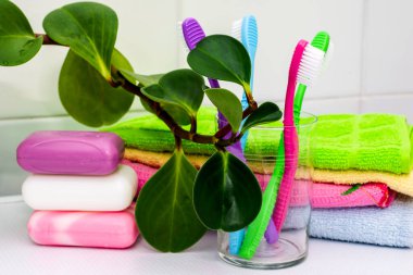 Bir yığın havlu bardakta sabun diş fırçası ve tuvalet masasında bir saksı. Yüksek kalite fotoğraf