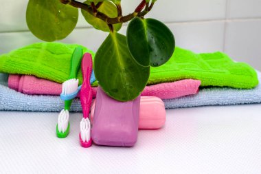 Bir yığın havlu diş fırçası ve tuvalet masasının üzerinde bir saksı. Yüksek kalite fotoğraf