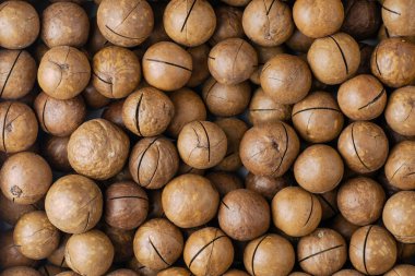 Arka planı bölmek için testereli Macadamia fındıkları. Yüksek kalite fotoğraf