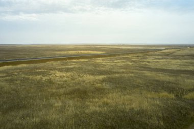 Kırsal bozkır arazisi, ekili toprak ekinleri yol ve bulutlu gökyüzü. Yüksek kalite fotoğraf