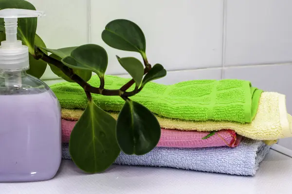 Stack Towels Bottle Liquid Soap Houseplant Bathroom Table High Quality — Stock Photo, Image