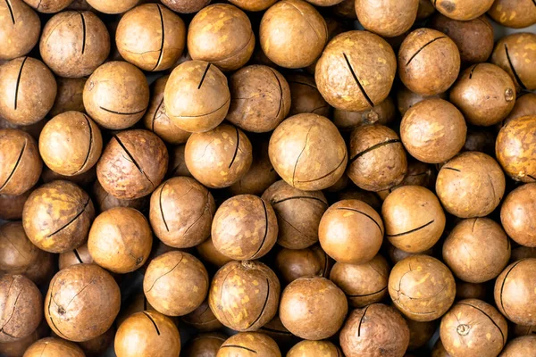 Makadamia Ořechy Pilami Pro Dělení Pozadí Kvalitní Fotografie Royalty Free Stock Fotografie