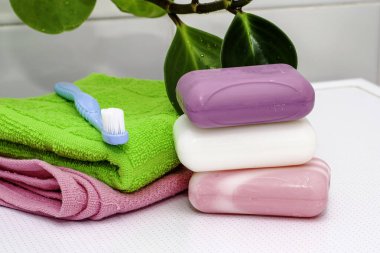 Havlular, sabun, diş fırçası ve tuvalet masasının üzerindeki saksı. Yüksek kalite fotoğraf