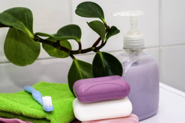 Bir yığın havlu sabun bir şişe sıvı sabun bir diş fırçası ve banyo masasında bir saksı.