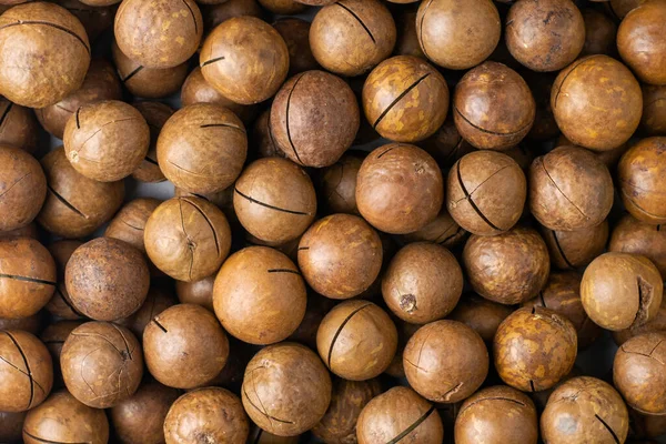Makadamianötter med sågar för delning av bakgrund — Stockfoto
