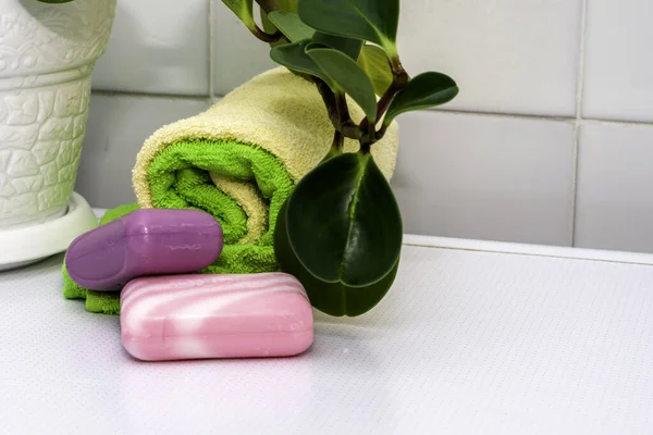 Стопка рушників з мила і кімнатна рослина на столі у ванній — стокове фото