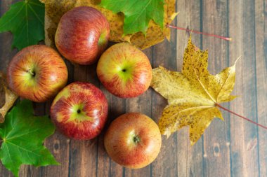 Sonbaharda taze elma meyveleri
