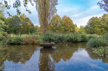 Sonbaharda parktaki bir fıskiyenin taşındaki ördekler