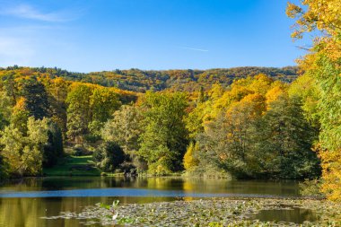 Almanya 'nın Kassel şehrinde sonbaharda güzel bir göl