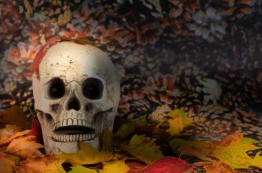 Yeşillikte korkunç bir kafatası